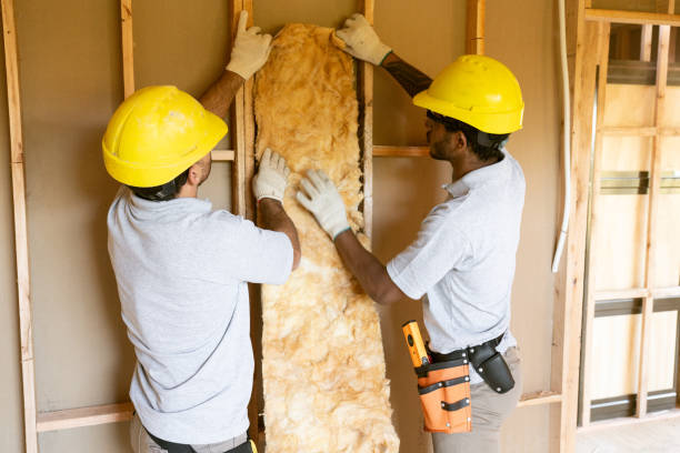 Types of Insulation We Offer in Cabool, MO